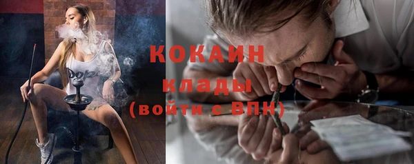 jwh Пересвет
