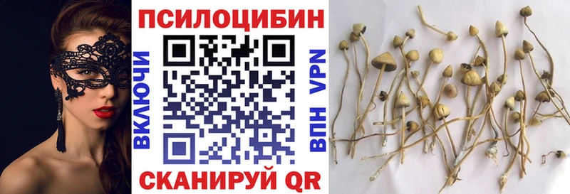 Галлюциногенные грибы GOLDEN TEACHER  Буй 